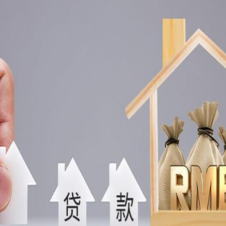 连平贷款中介公司新渝启服怎么样